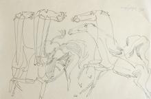 Charles Lapicque - Anatomie de chevaux